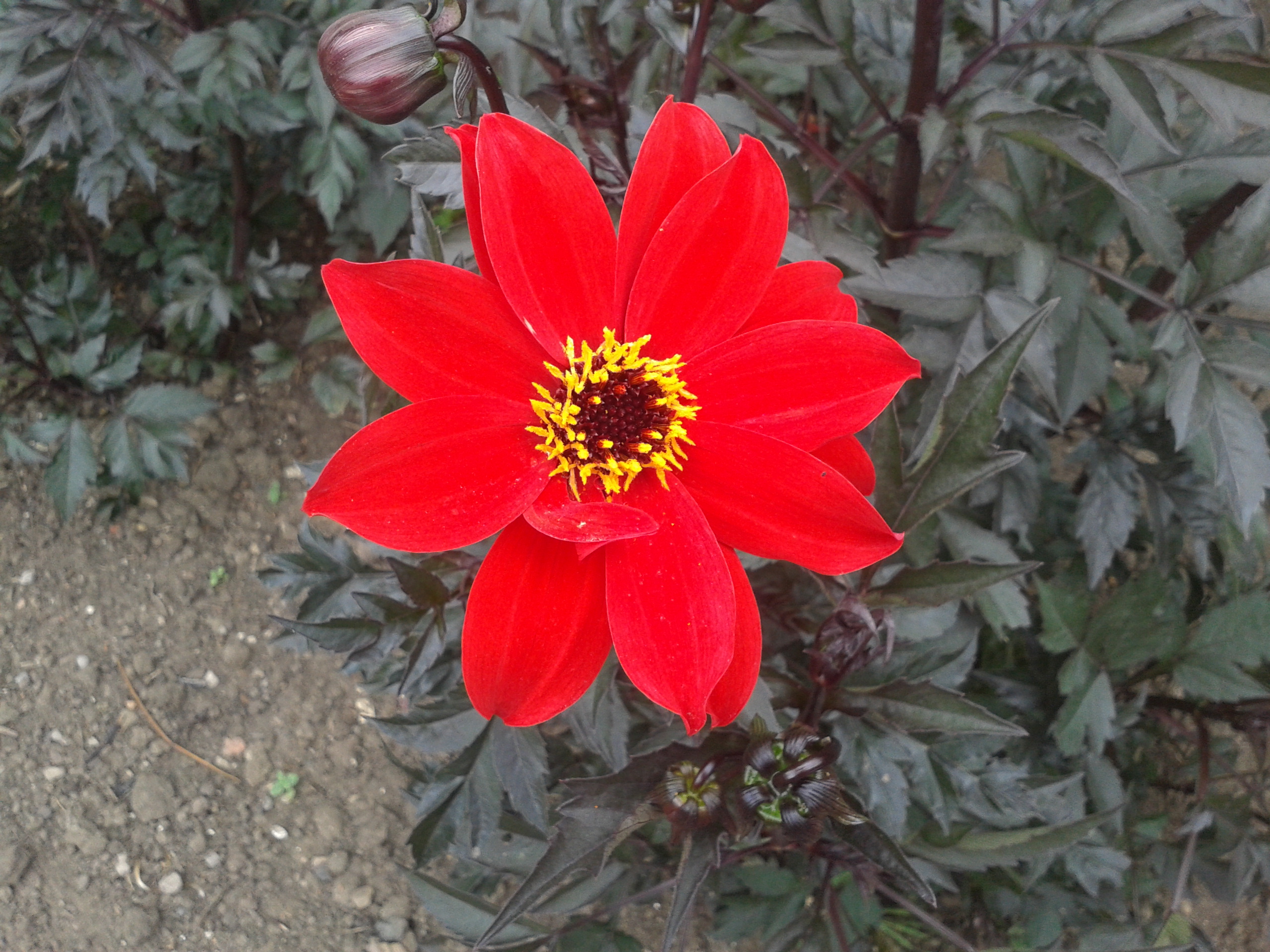 Terry Morden Painting & Photography